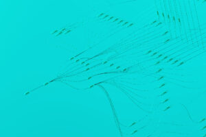 Anonimização de dados: mais do que compliance, uma vantagem competitiva